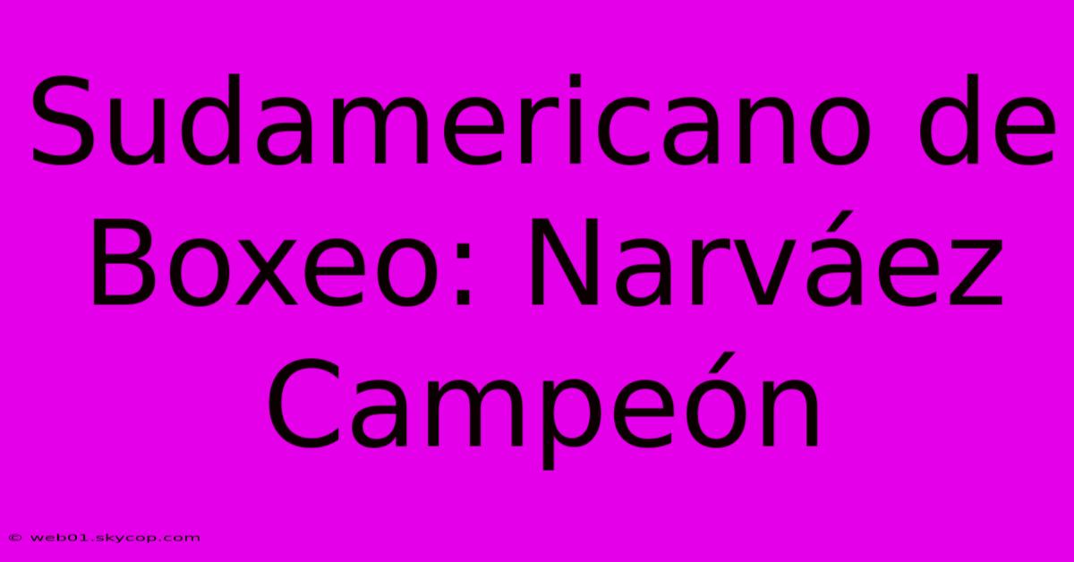 Sudamericano De Boxeo: Narváez Campeón