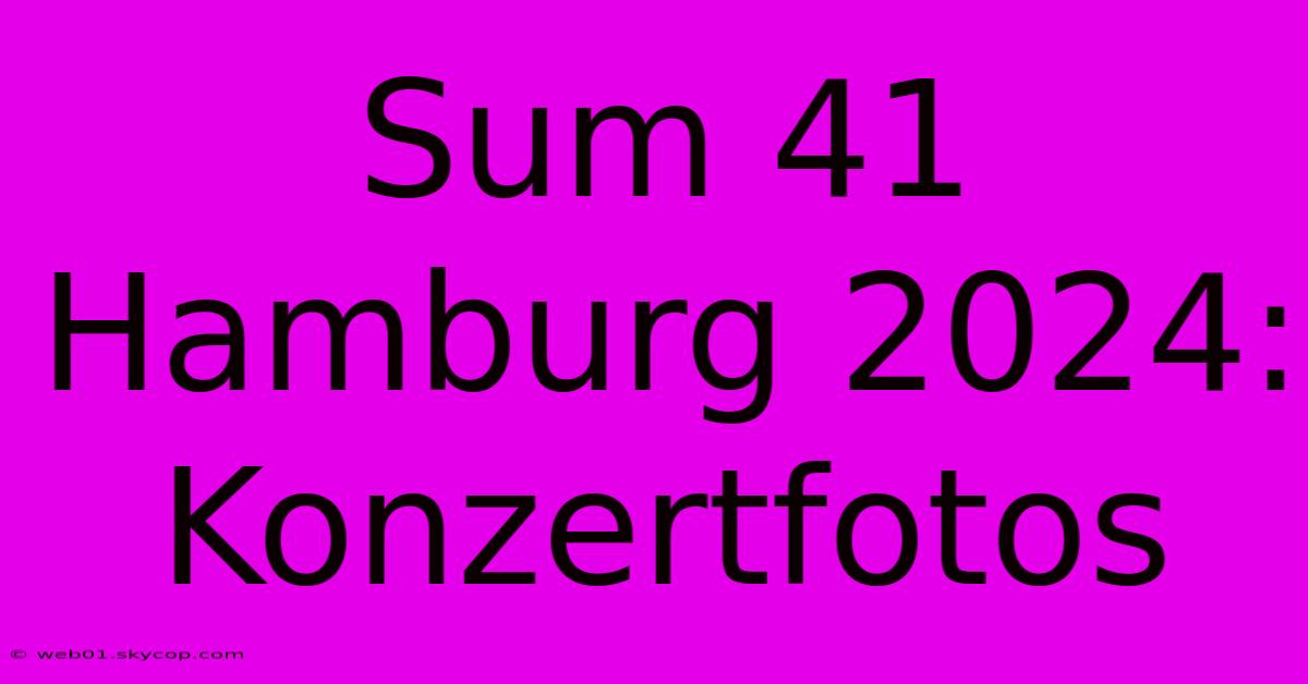 Sum 41 Hamburg 2024: Konzertfotos