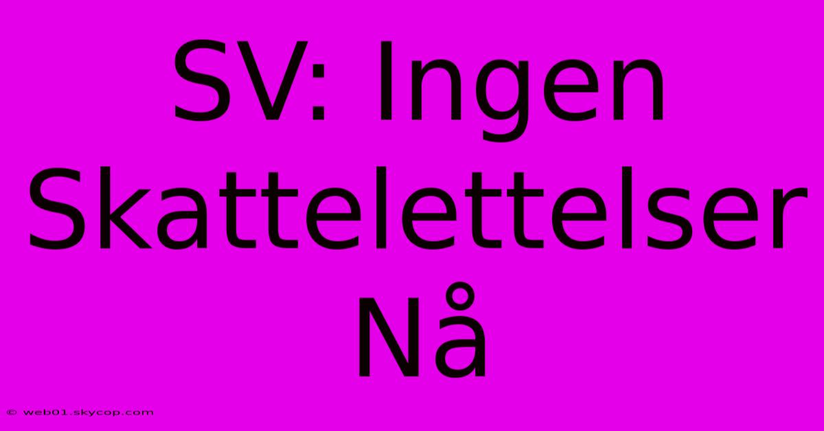 SV: Ingen Skattelettelser Nå