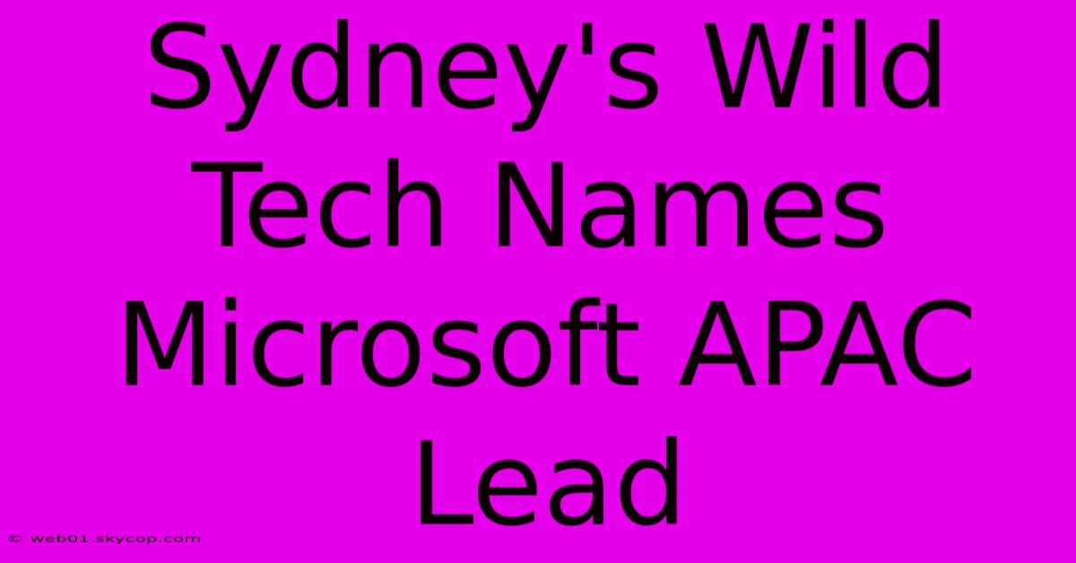 Sydney's Wild Tech Names Microsoft APAC Lead