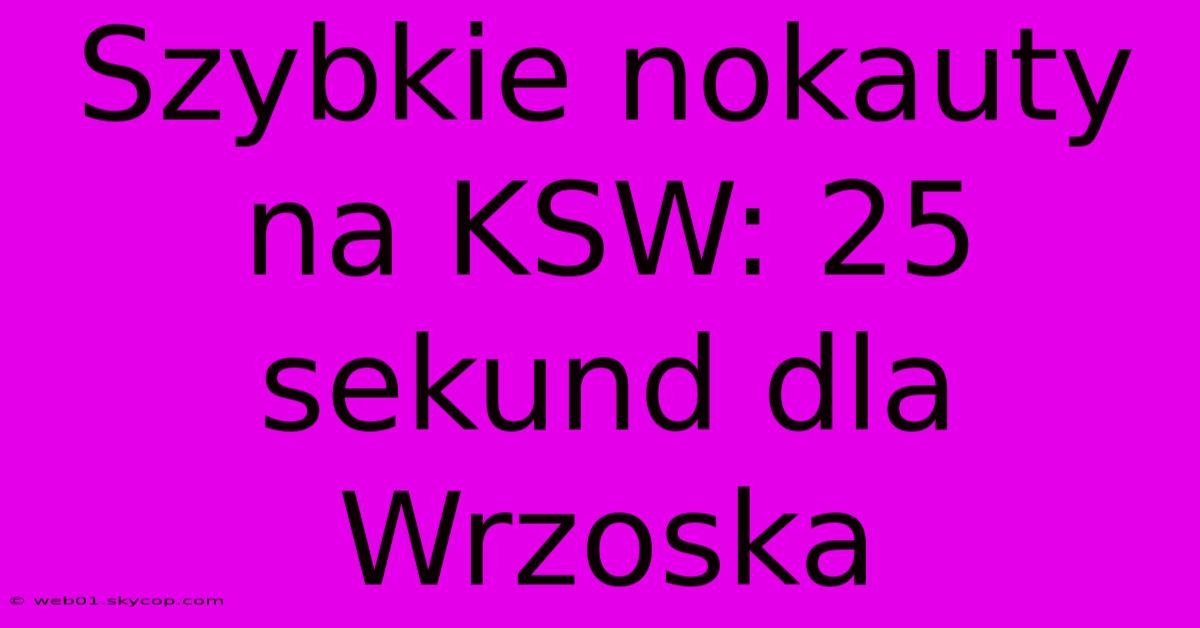 Szybkie Nokauty Na KSW: 25 Sekund Dla Wrzoska