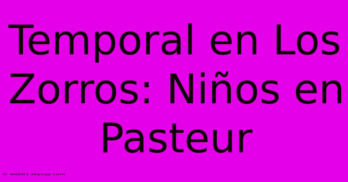 Temporal En Los Zorros: Niños En Pasteur