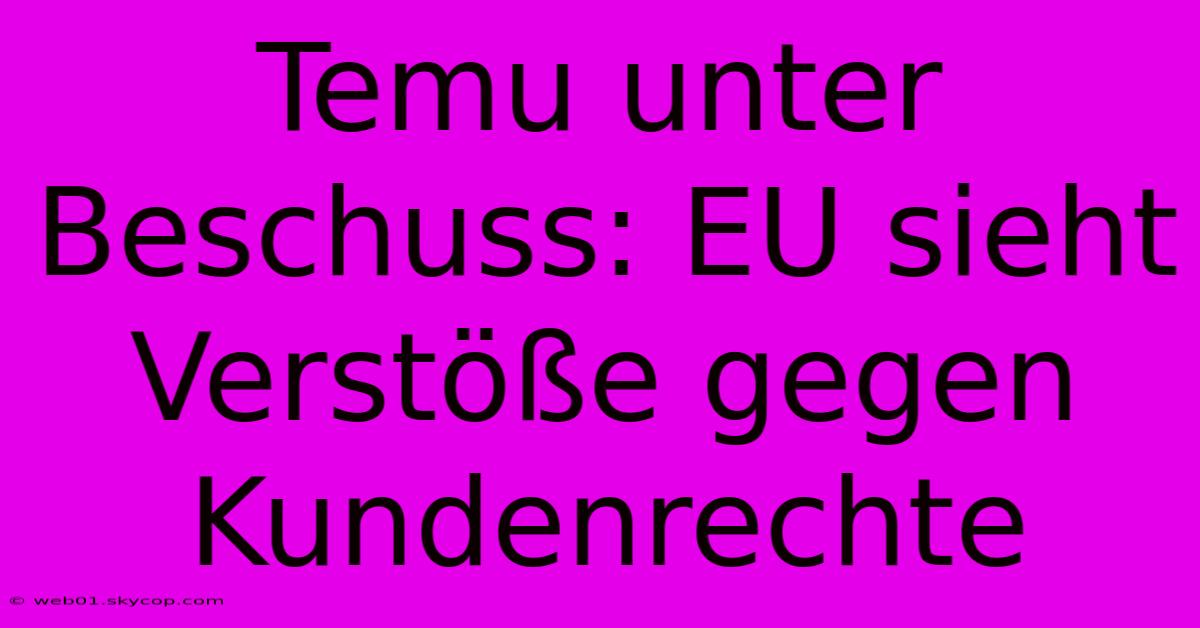 Temu Unter Beschuss: EU Sieht Verstöße Gegen Kundenrechte