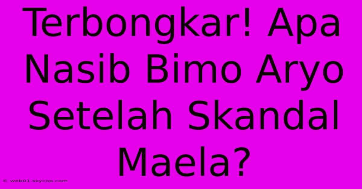 Terbongkar! Apa Nasib Bimo Aryo Setelah Skandal Maela?