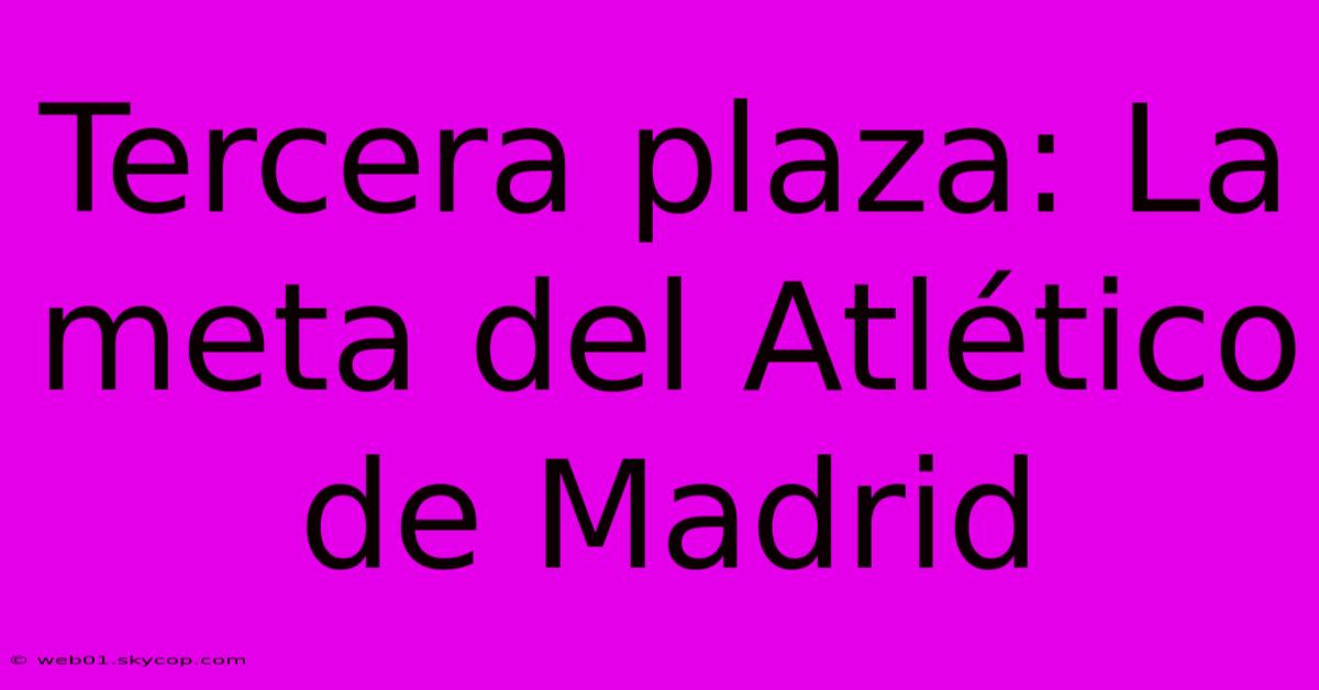 Tercera Plaza: La Meta Del Atlético De Madrid 