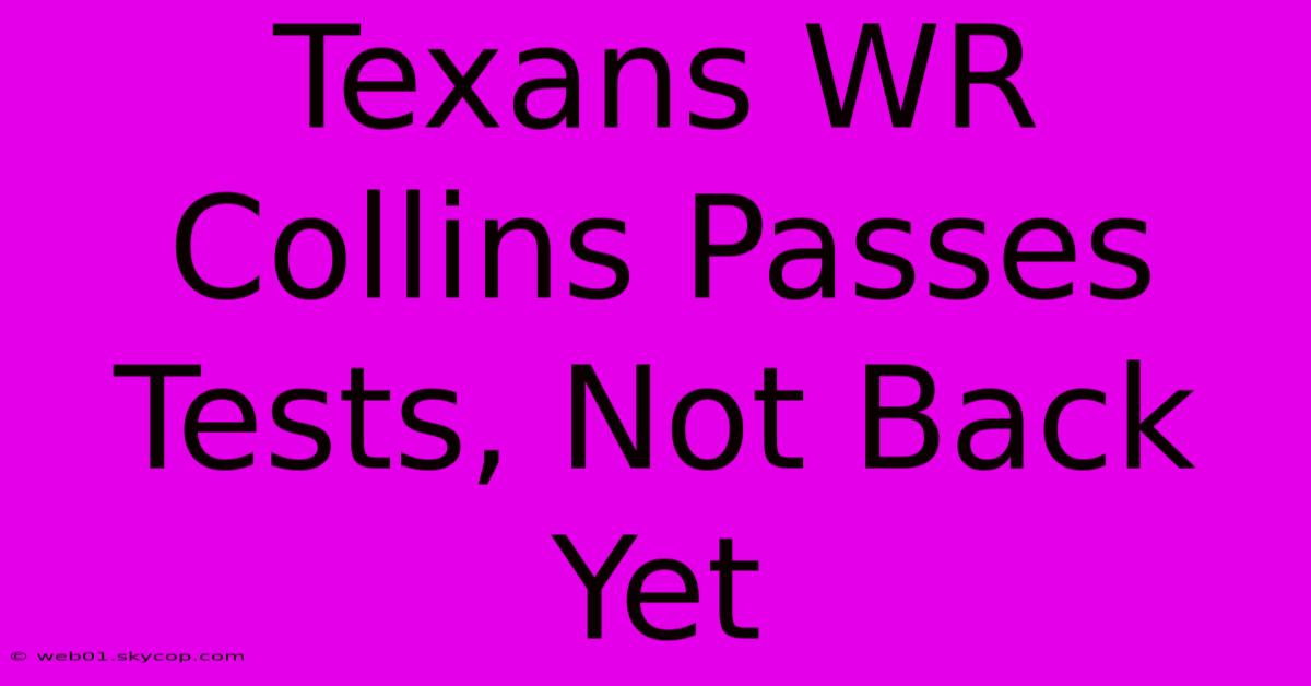 Texans WR Collins Passes Tests, Not Back Yet 