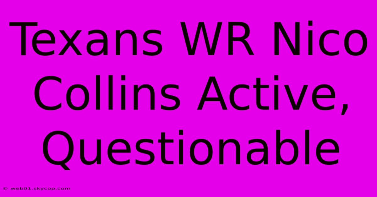 Texans WR Nico Collins Active, Questionable 