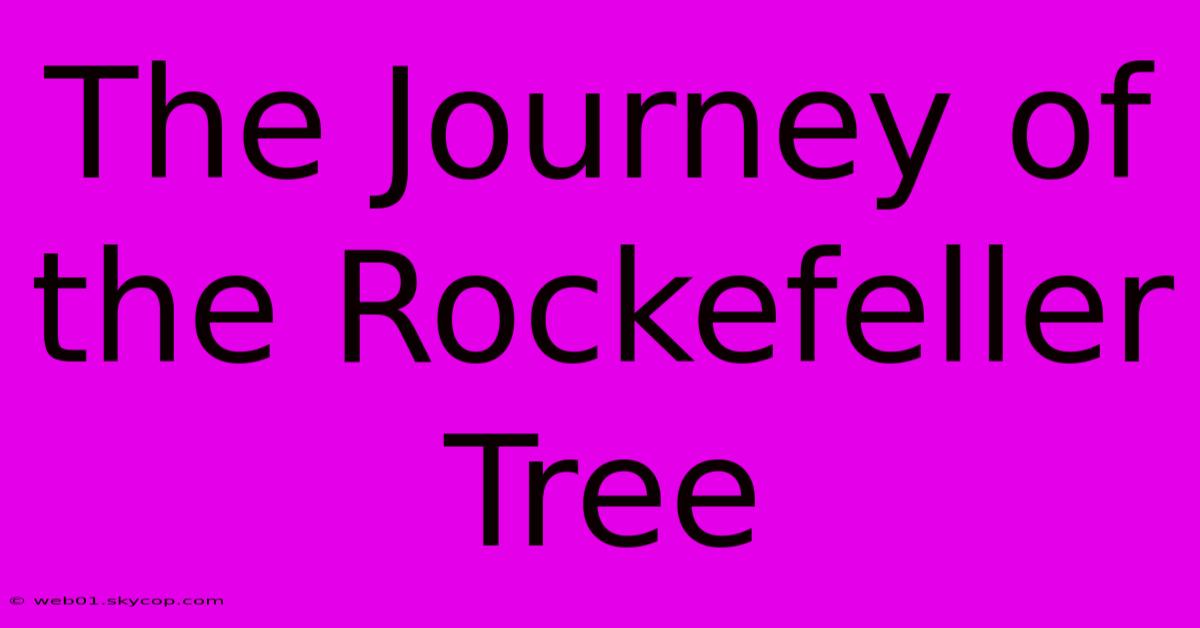 The Journey Of The Rockefeller Tree