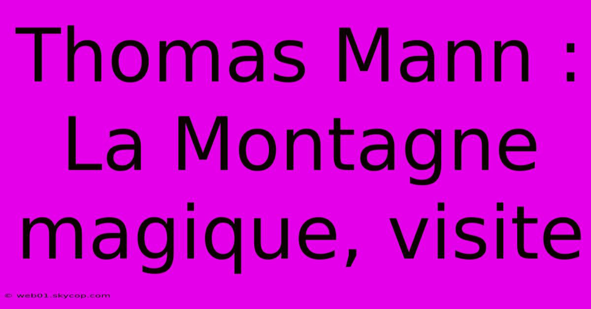 Thomas Mann : La Montagne Magique, Visite