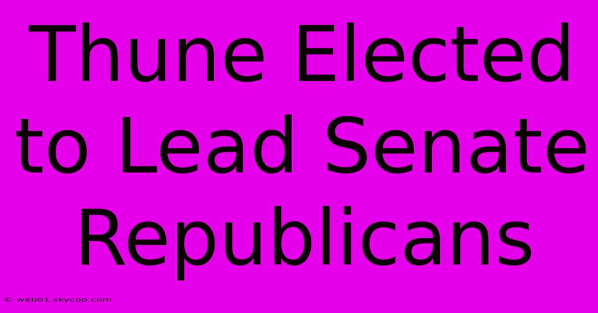 Thune Elected To Lead Senate Republicans