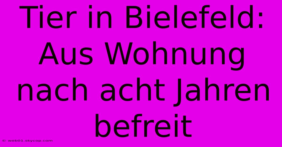 Tier In Bielefeld: Aus Wohnung Nach Acht Jahren Befreit 