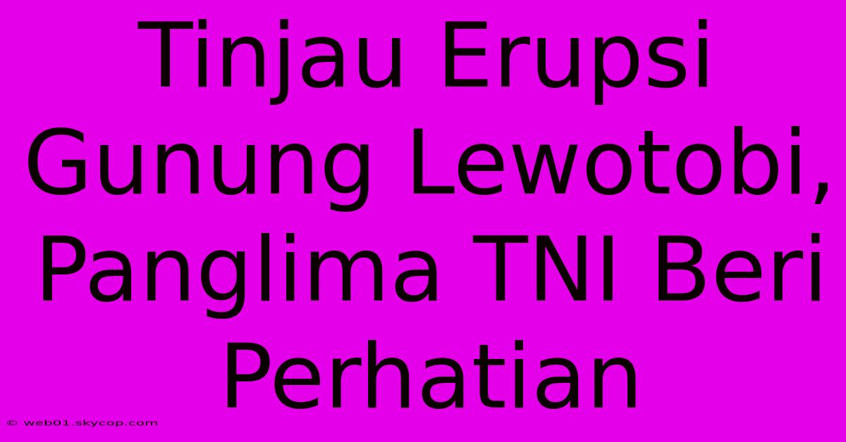 Tinjau Erupsi Gunung Lewotobi, Panglima TNI Beri Perhatian  