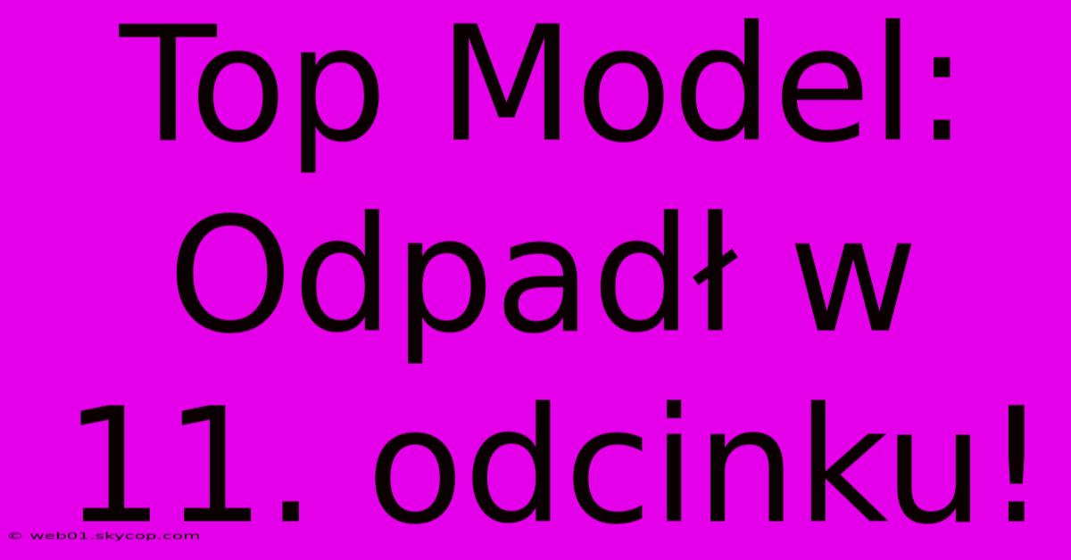 Top Model: Odpadł W 11. Odcinku!