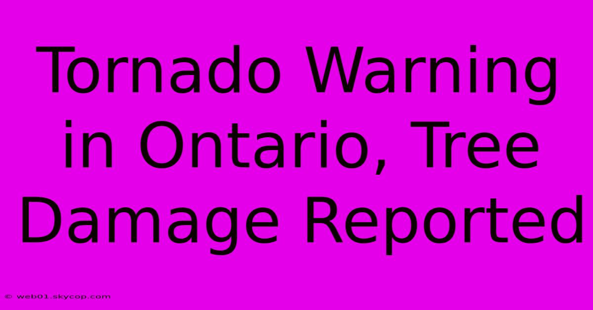 Tornado Warning In Ontario, Tree Damage Reported