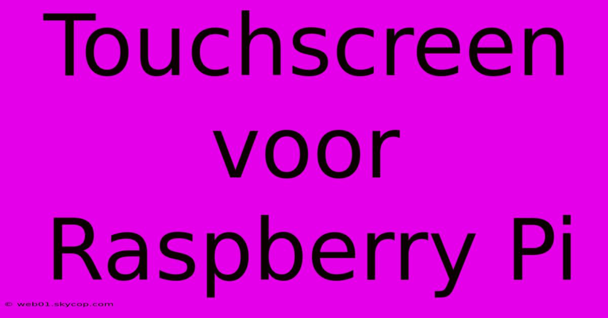 Touchscreen Voor Raspberry Pi