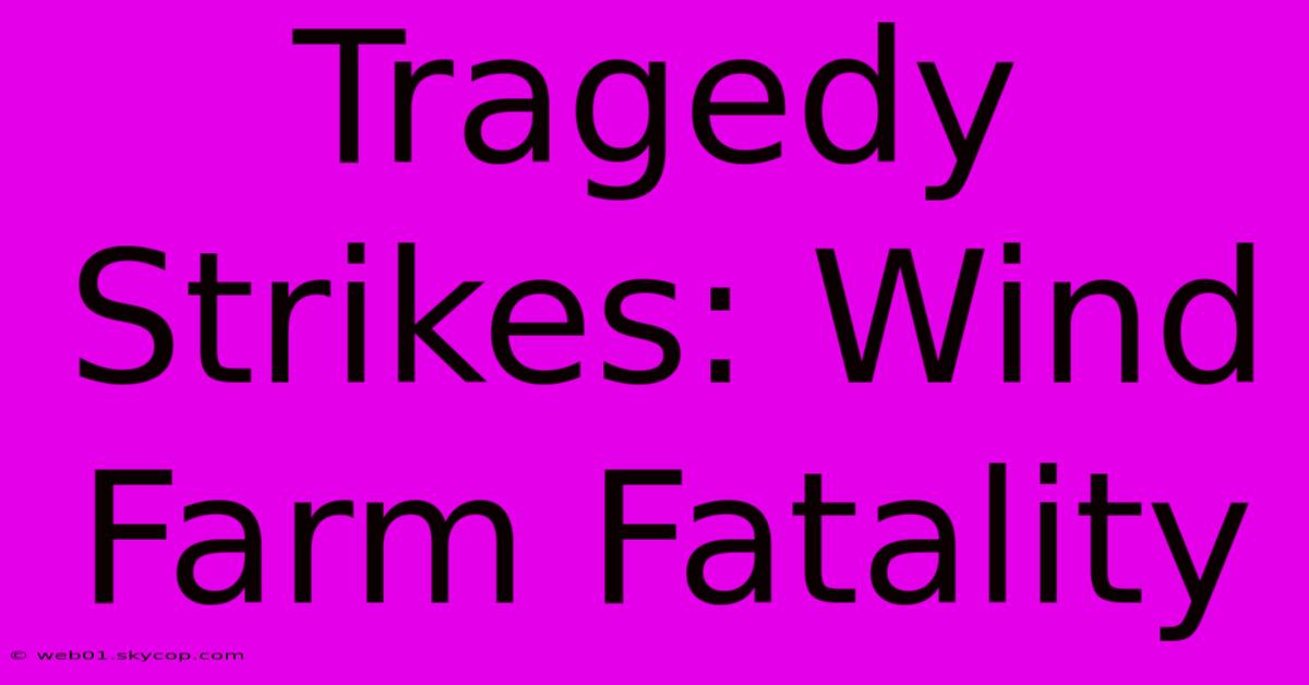 Tragedy Strikes: Wind Farm Fatality