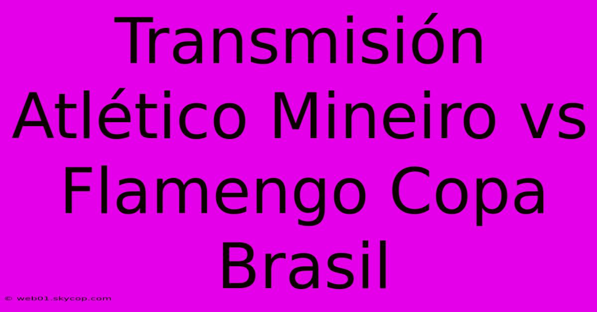 Transmisión Atlético Mineiro Vs Flamengo Copa Brasil