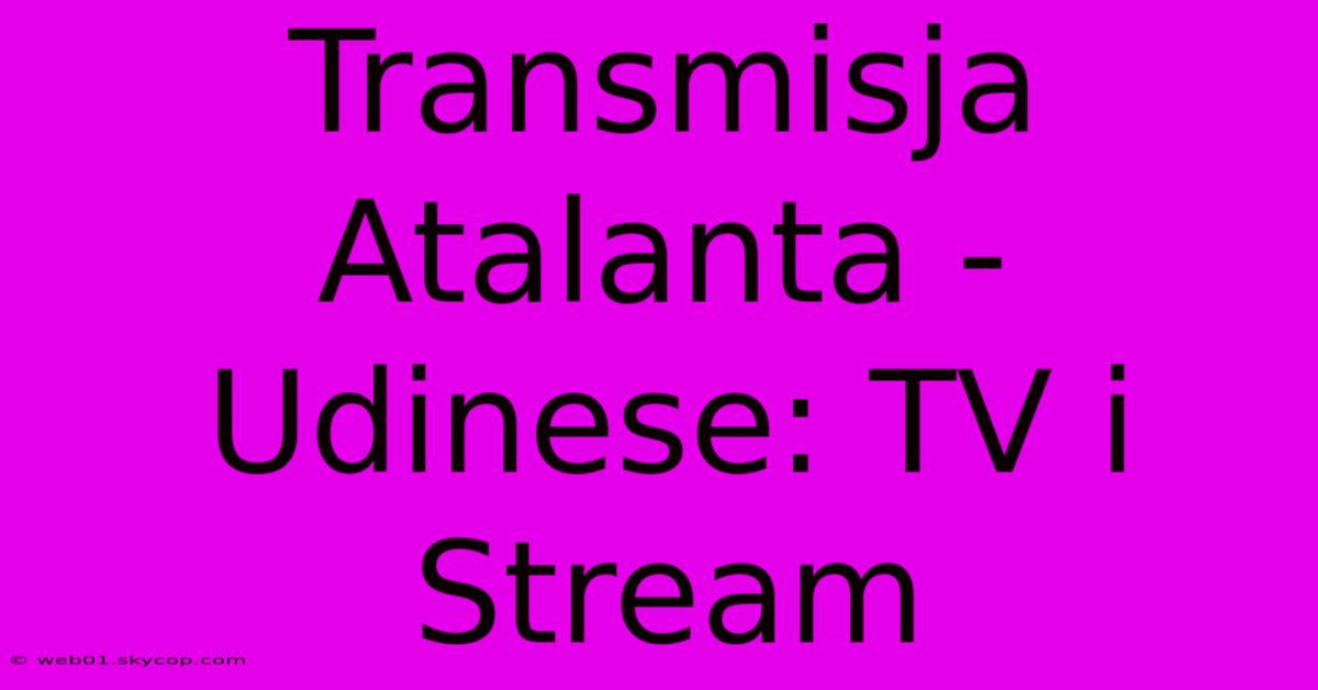 Transmisja Atalanta - Udinese: TV I Stream