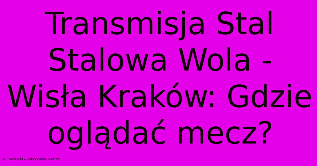 Transmisja Stal Stalowa Wola - Wisła Kraków: Gdzie Oglądać Mecz?