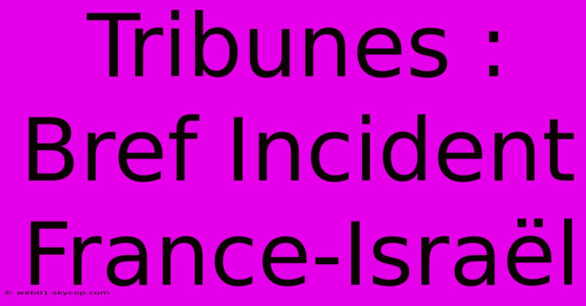 Tribunes : Bref Incident France-Israël