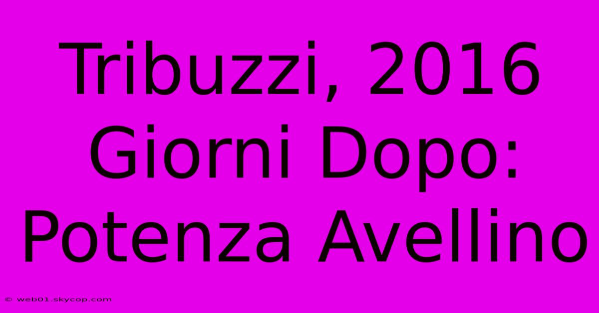 Tribuzzi, 2016 Giorni Dopo: Potenza Avellino