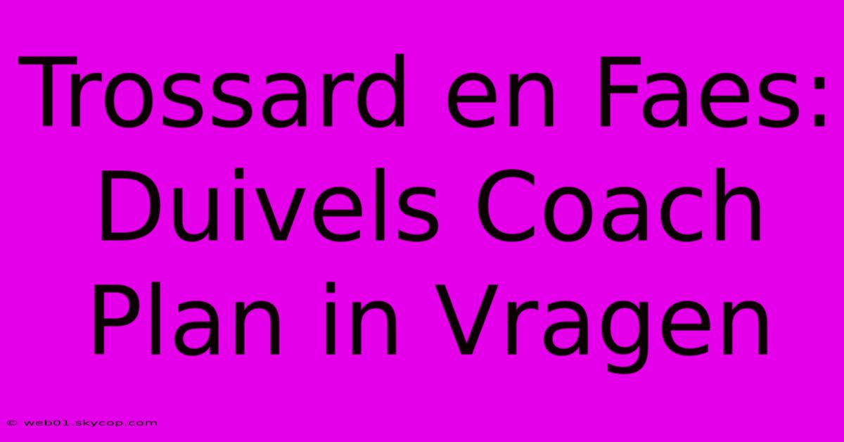 Trossard En Faes: Duivels Coach Plan In Vragen 