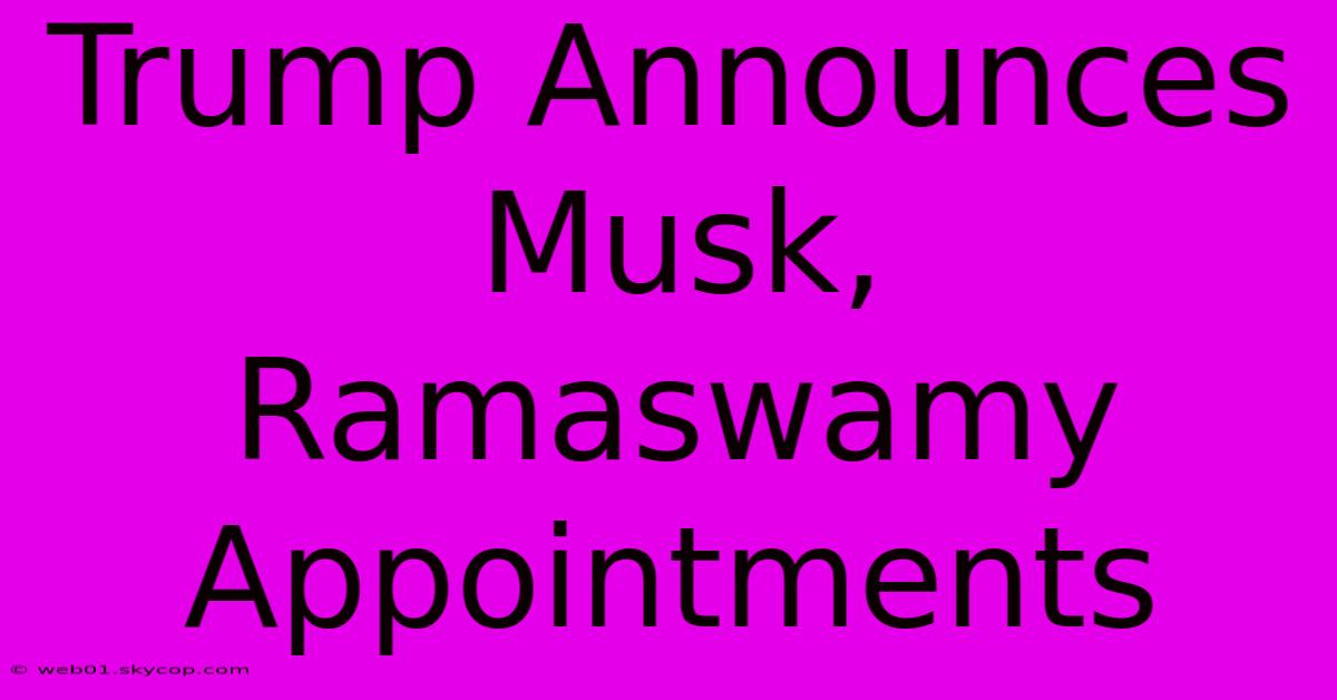 Trump Announces Musk, Ramaswamy Appointments 