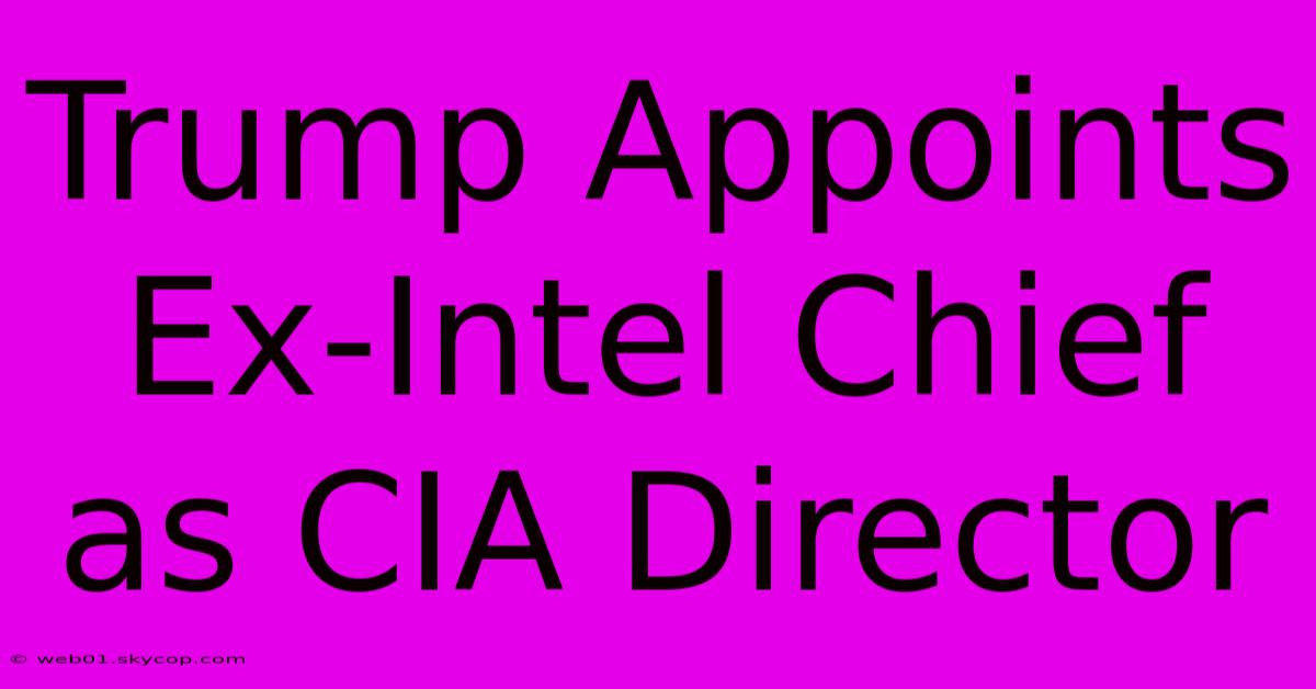 Trump Appoints Ex-Intel Chief As CIA Director