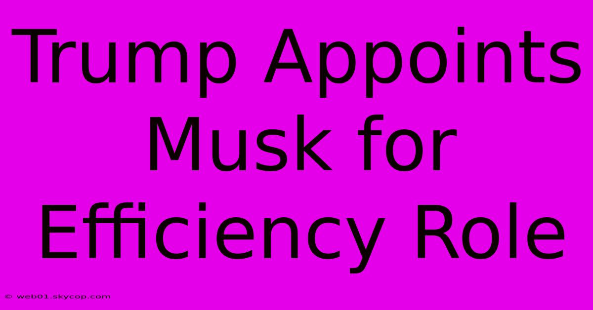 Trump Appoints Musk For Efficiency Role 