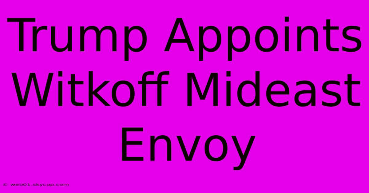 Trump Appoints Witkoff Mideast Envoy