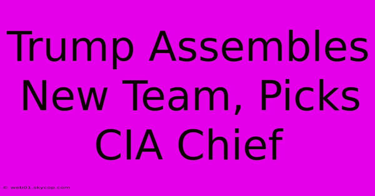 Trump Assembles New Team, Picks CIA Chief