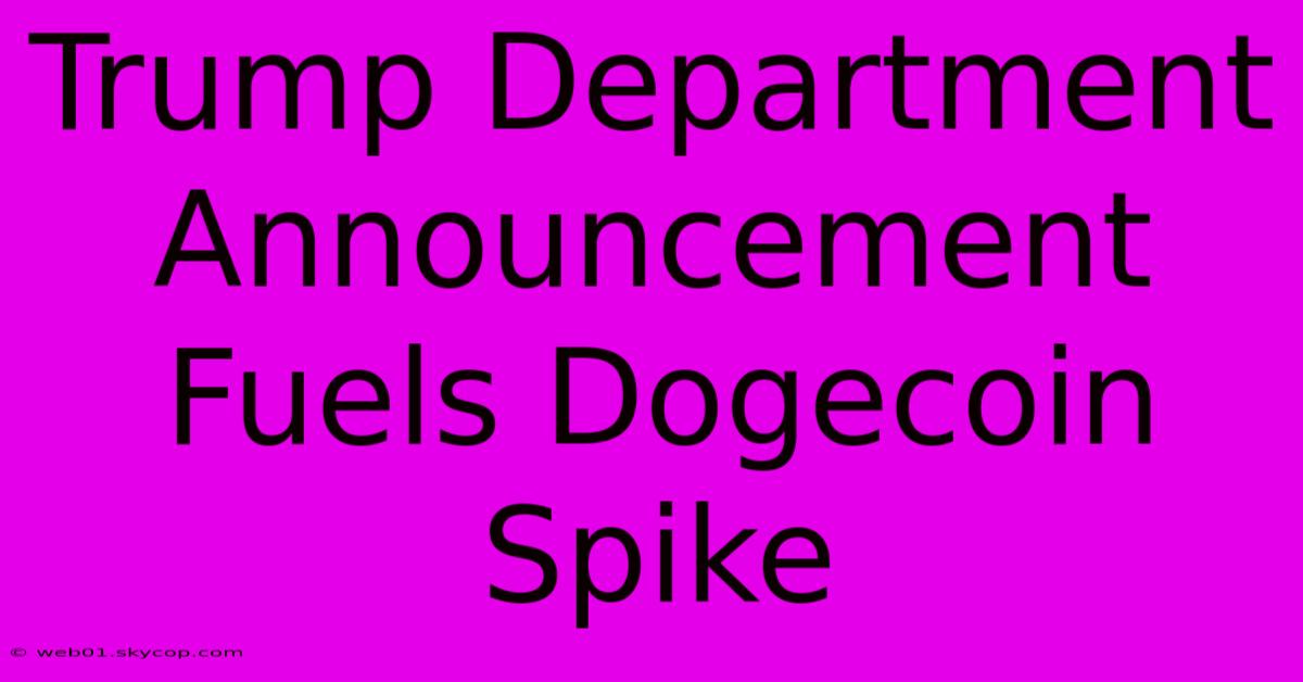 Trump Department Announcement Fuels Dogecoin Spike