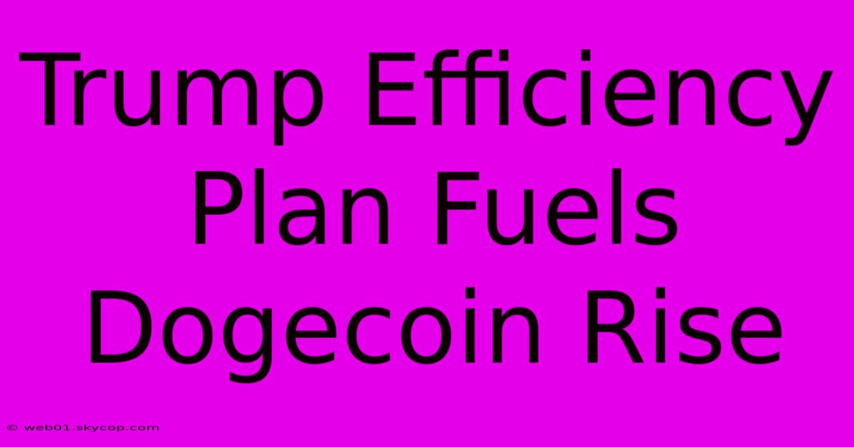 Trump Efficiency Plan Fuels Dogecoin Rise