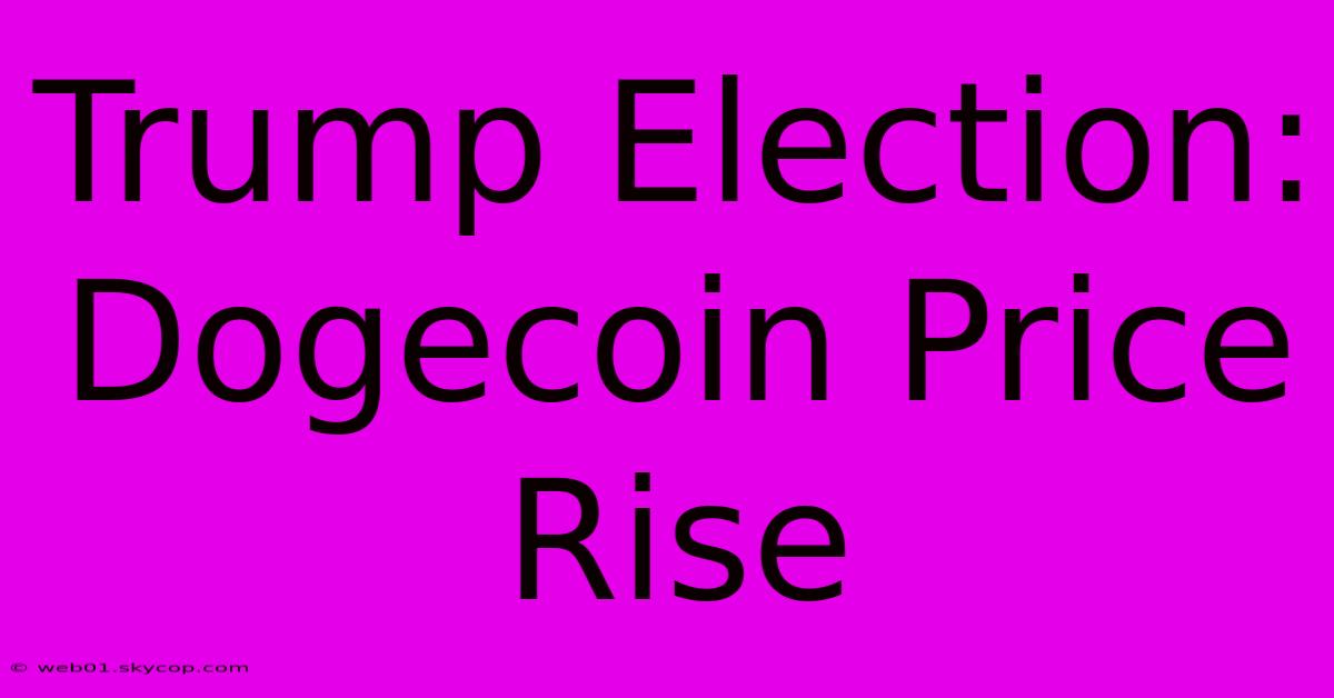 Trump Election: Dogecoin Price Rise