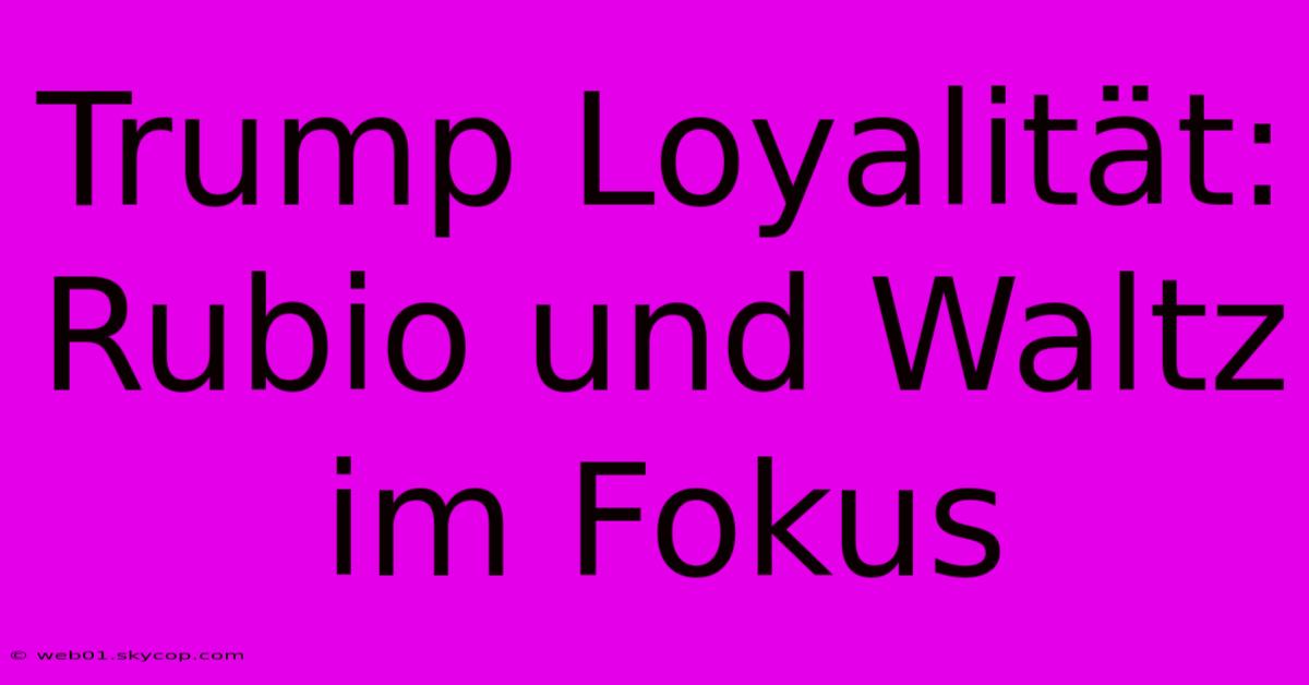 Trump Loyalität: Rubio Und Waltz Im Fokus