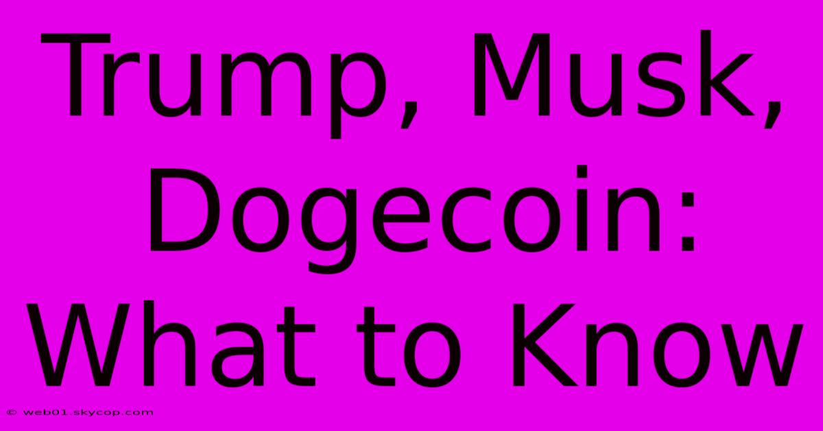 Trump, Musk, Dogecoin: What To Know