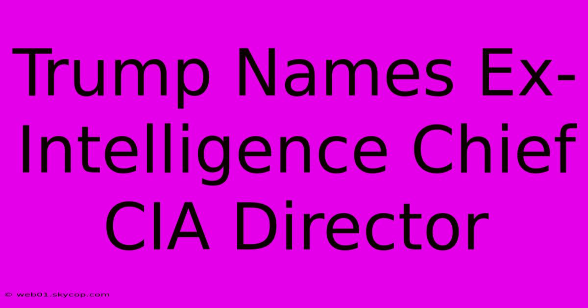 Trump Names Ex-Intelligence Chief CIA Director