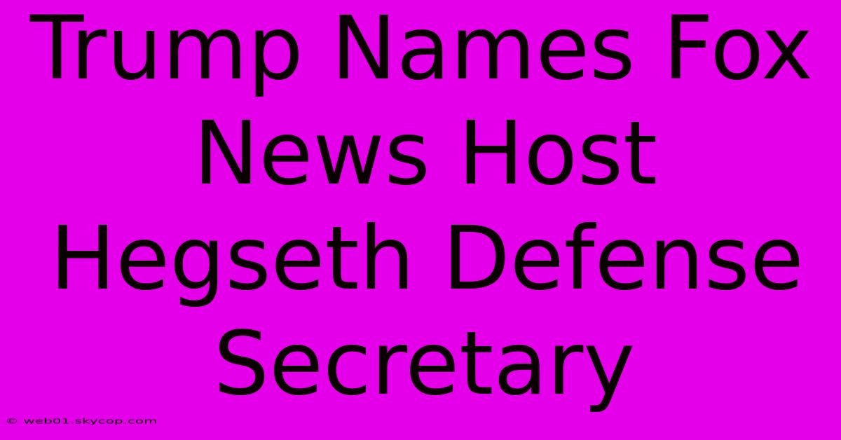 Trump Names Fox News Host Hegseth Defense Secretary