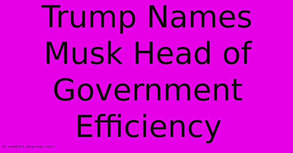 Trump Names Musk Head Of Government Efficiency