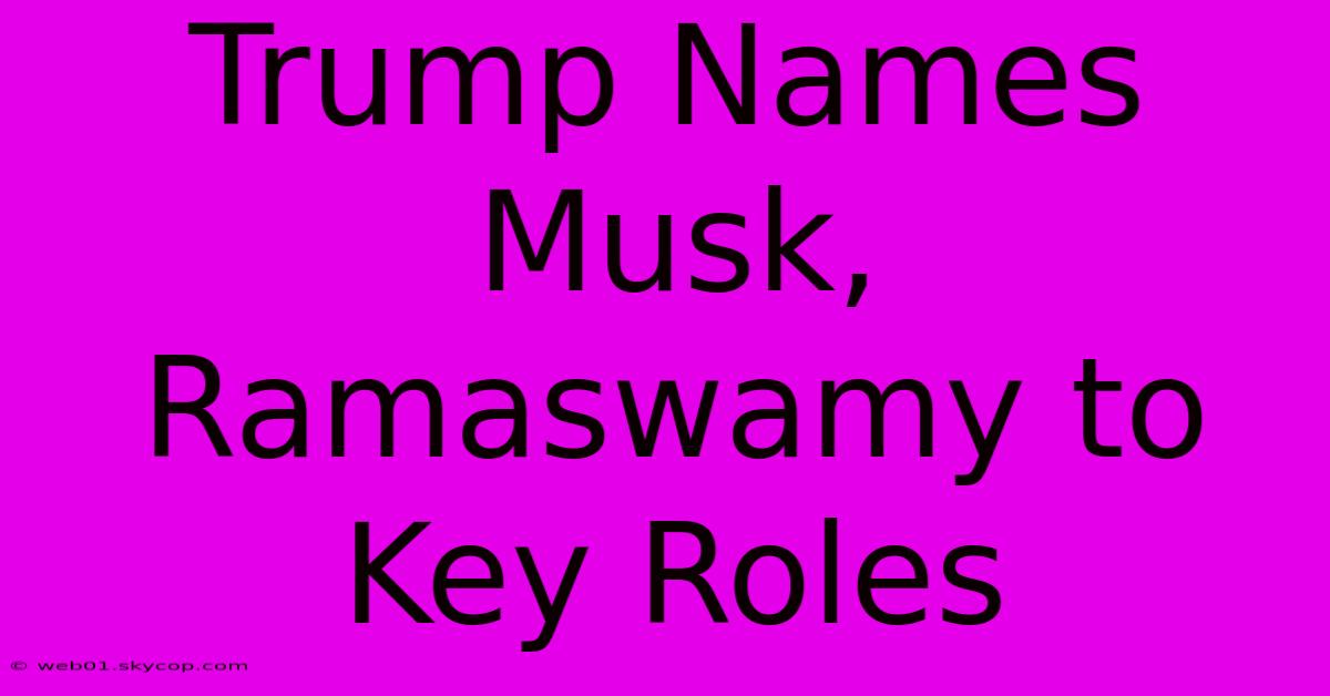 Trump Names Musk, Ramaswamy To Key Roles