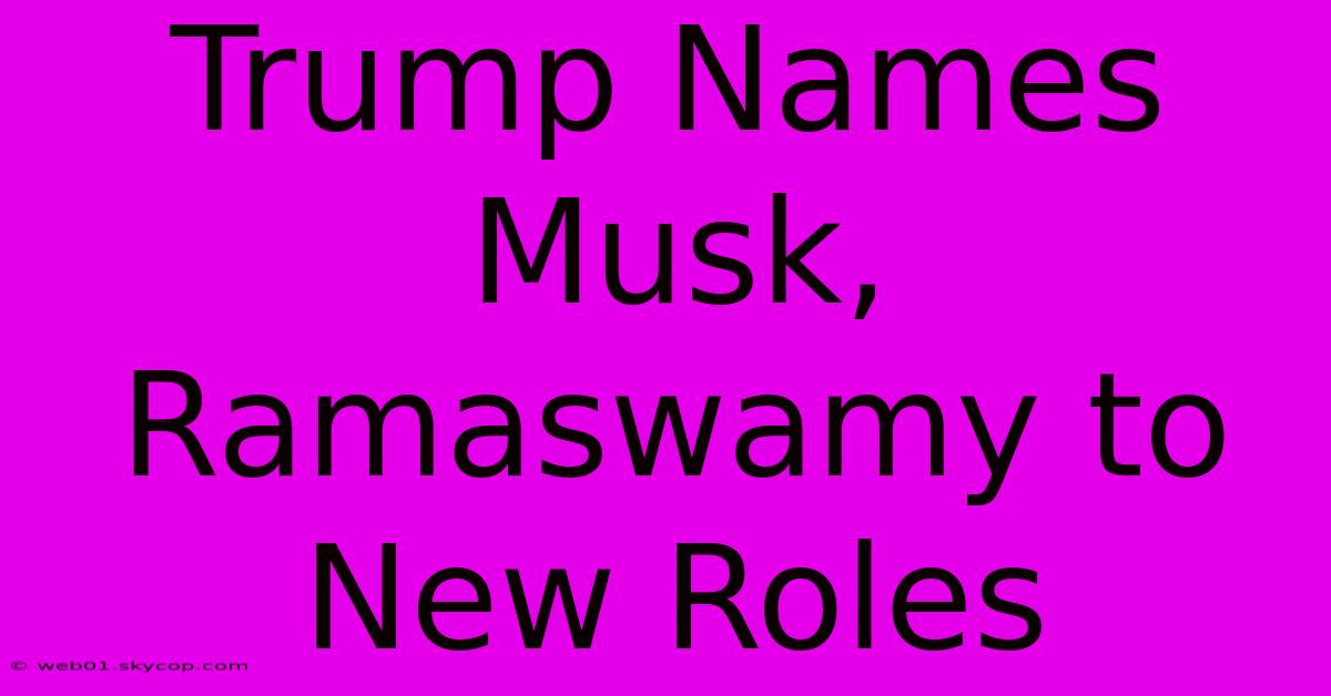 Trump Names Musk, Ramaswamy To New Roles