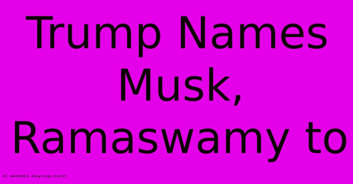 Trump Names Musk, Ramaswamy To 