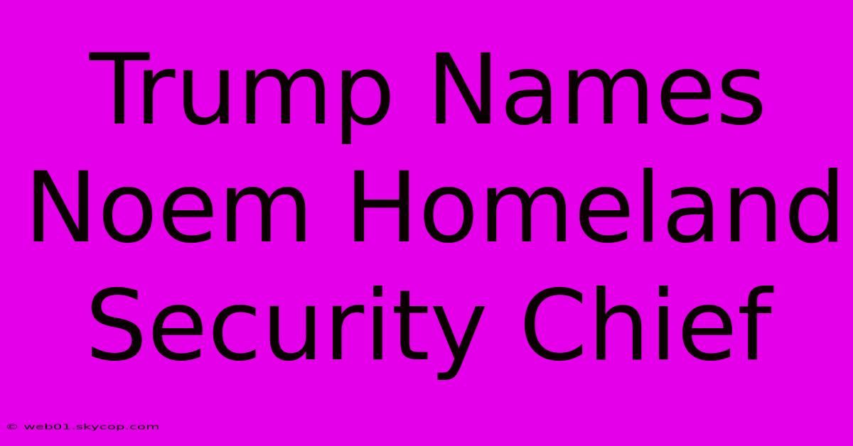 Trump Names Noem Homeland Security Chief