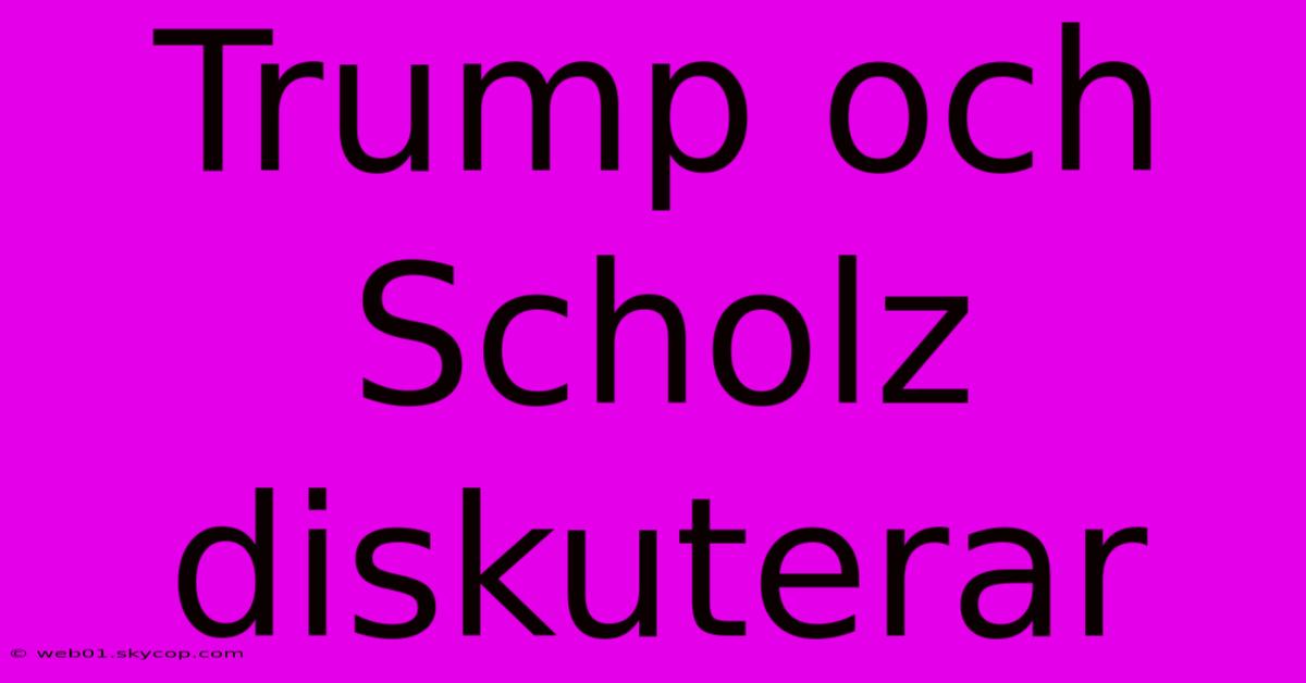 Trump Och Scholz Diskuterar