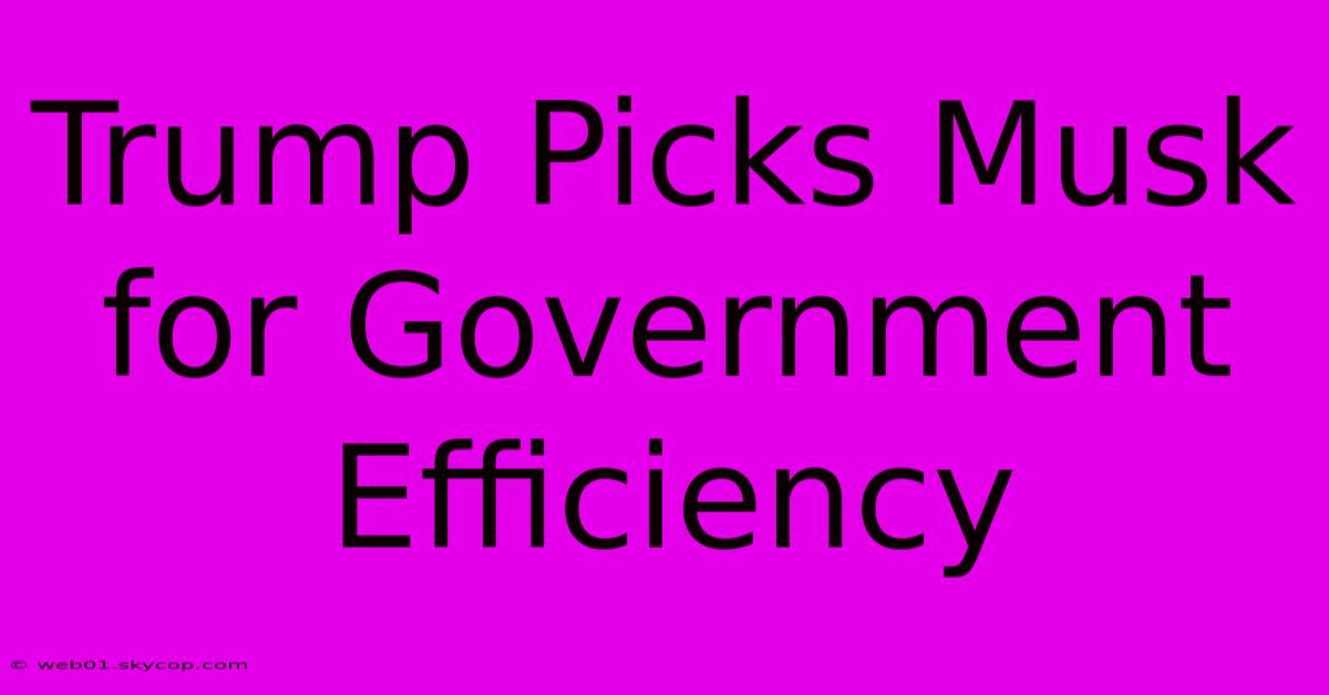 Trump Picks Musk For Government Efficiency