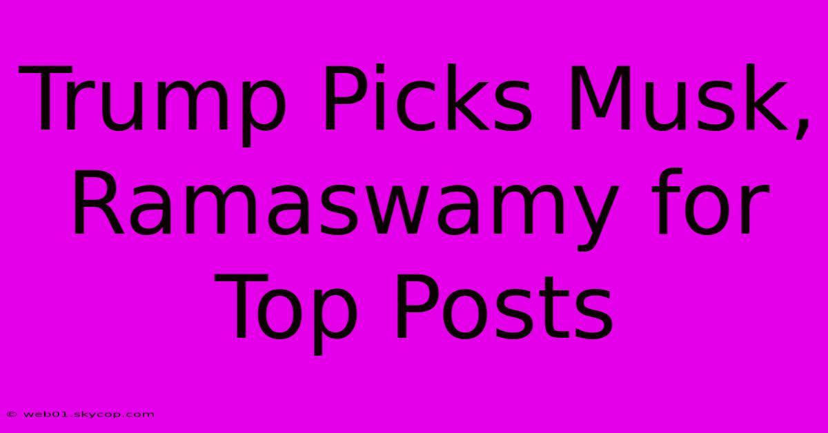 Trump Picks Musk, Ramaswamy For Top Posts