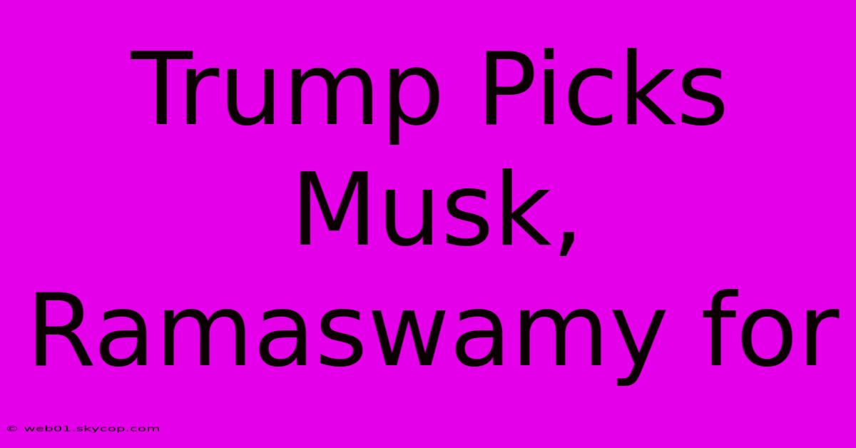 Trump Picks Musk, Ramaswamy For 