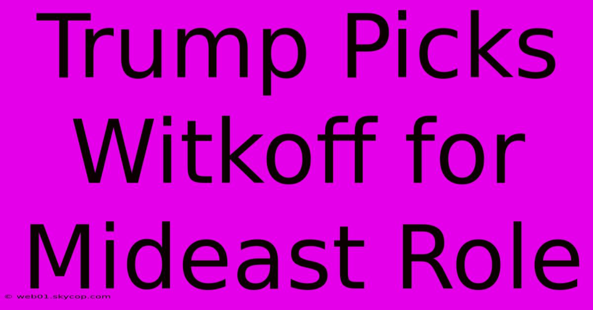 Trump Picks Witkoff For Mideast Role