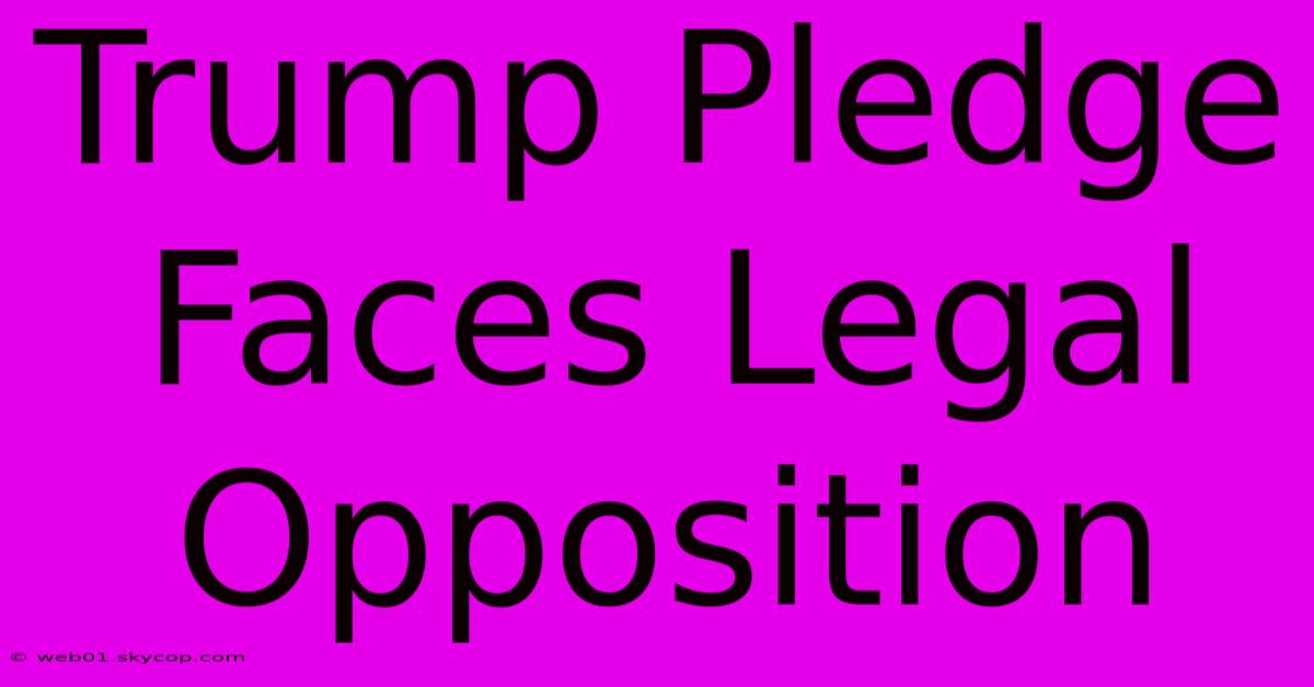 Trump Pledge Faces Legal Opposition