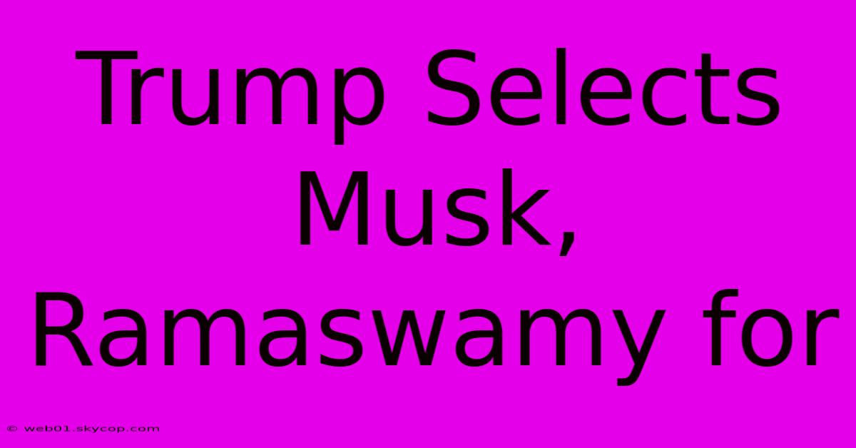 Trump Selects Musk, Ramaswamy For 